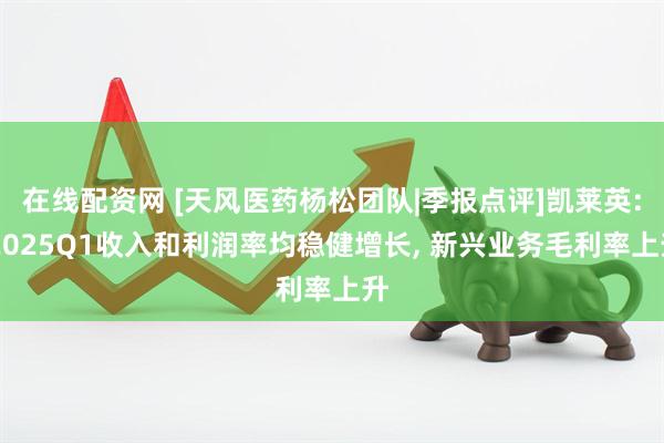 在线配资网 [天风医药杨松团队|季报点评]凯莱英: 2025Q1收入和利润率均稳健增长, 新兴业务毛利率上升