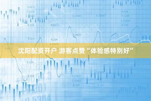 沈阳配资开户 游客点赞“体验感特别好”